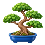 bonsai