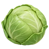 cabbage