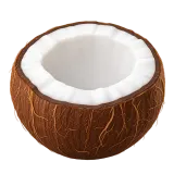 coconut