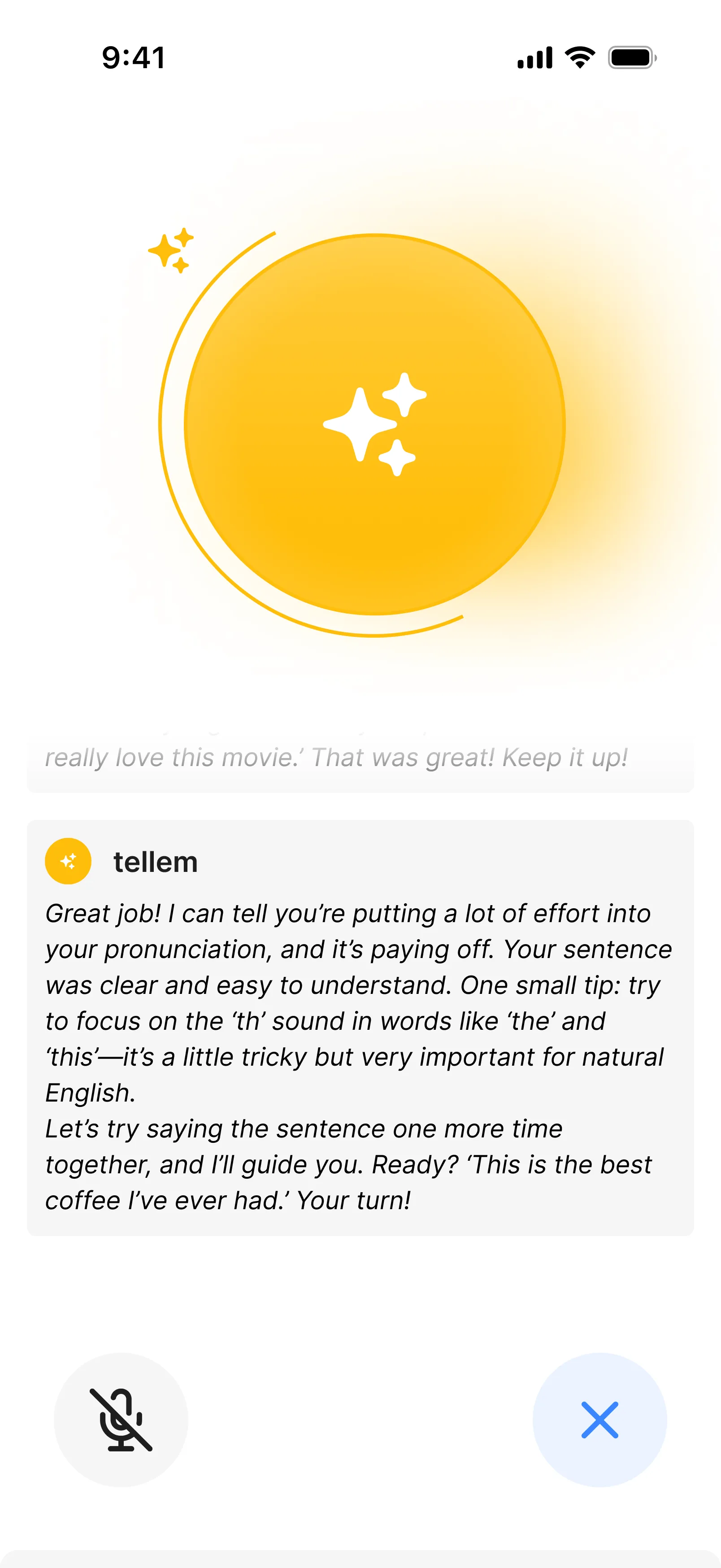 Demo image of the tellem application