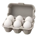 egg carton