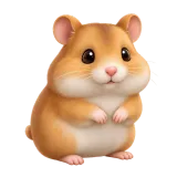 hamster