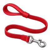leash