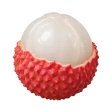 lychee