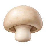 mushroom