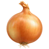 onion