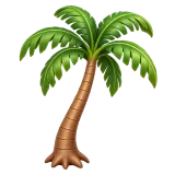 palm tree