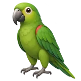 parrot