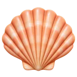 seashell