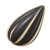 sunflower seed