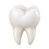 tooth